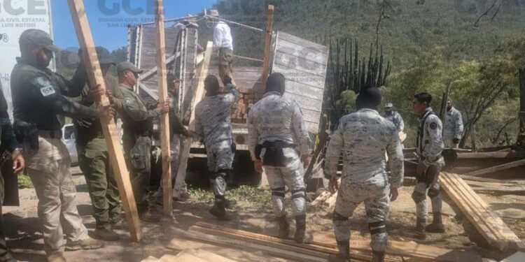 En Rioverde, aseguran madera de pino y hoja de laurel en un área protegida