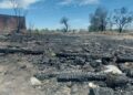 Después de un nuevo incendio, clausuran la tarimera en Soledad