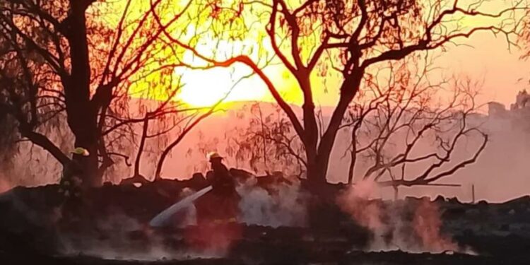 VIDEO | Fuego consume otra tarimera en Soledad; emergencias se movilizan rápidamente