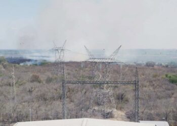 lamas rodean termoeléctrica en Tamuín