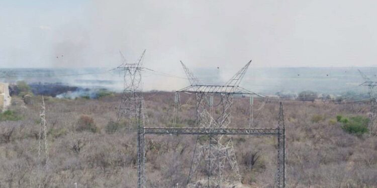 lamas rodean termoeléctrica en Tamuín