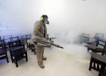 Se confirman 3 mil 234 casos de dengue en el país