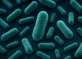 NASA encuentra 26 nuevas cepas bacterianas a bordo de nave espacial
