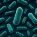 NASA encuentra 26 nuevas cepas bacterianas a bordo de nave espacial