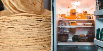 ¿Cuántos días duran las tortillas en el refrigerador y cómo saber si ya no sirven?