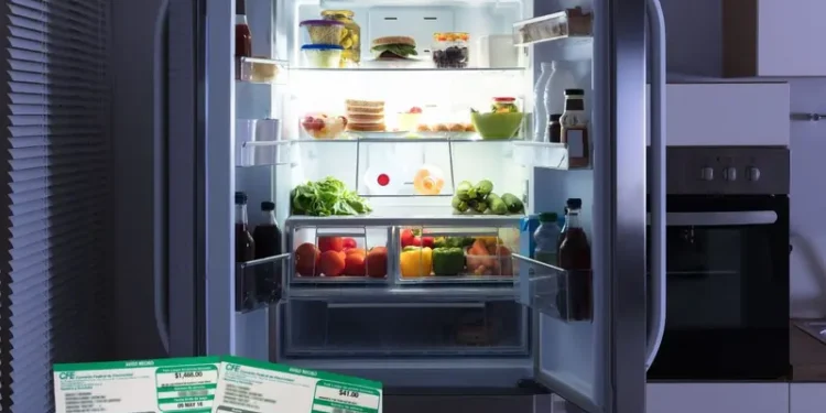 El botón oculto del refrigerador que baja tu recibo de luz (y casi nadie usa)
