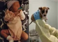 Cachorrita es sacrificada tras muerte de bebé recién nacida pero el forense revela algo inquietante