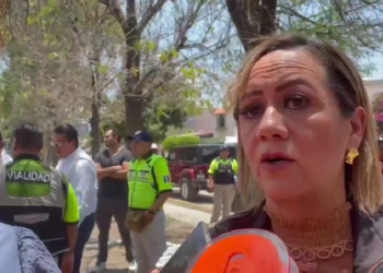 VIDEO | rescatan a animales en condiciones extremas de centro ilegal