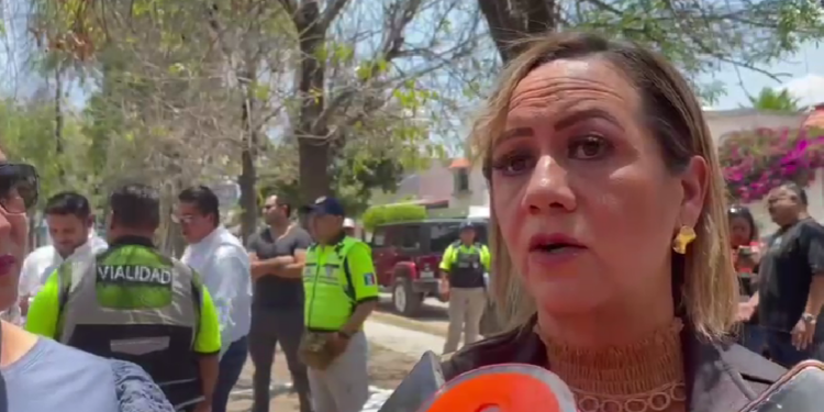 VIDEO | rescatan a animales en condiciones extremas de centro ilegal