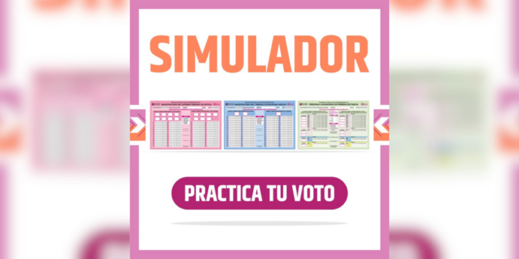 Utilizan el simulador Practica Tu Voto para evitar votos nulos en la elección judicial
