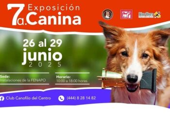 Invitan a la séptima exposición canina