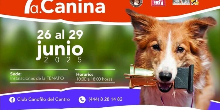 Invitan a la séptima exposición canina