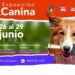 Invitan a la séptima exposición canina