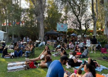 Picnic 7 Barrios festejó XV años