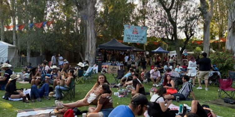 Picnic 7 Barrios festejó XV años
