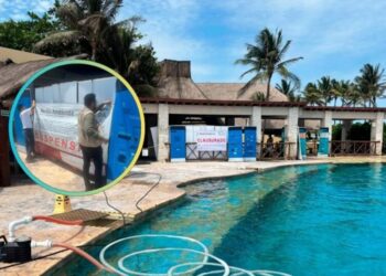 Dolphinaris Barceló es clausurado de forma definitiva por maltrato animal