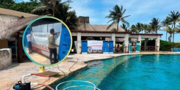 Dolphinaris Barceló es clausurado de forma definitiva por maltrato animal