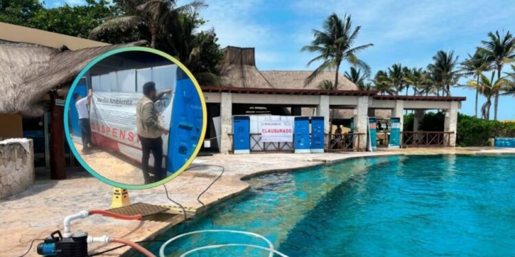 Dolphinaris Barceló es clausurado de forma definitiva por maltrato animal