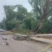 Cae poste de energía eléctrica en la entrada de colonia La Virgen