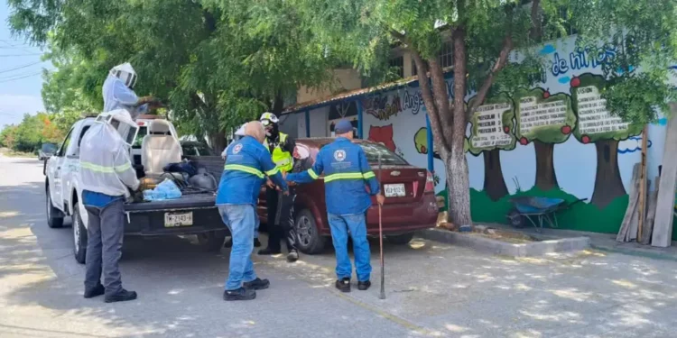 Enjambre ataca a trabajadores del Ayuntamiento en guardería de Valles