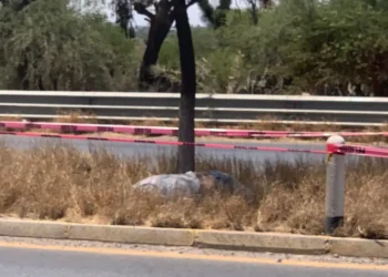 Hallan cuerpo en camellón de carretera a Rioverde