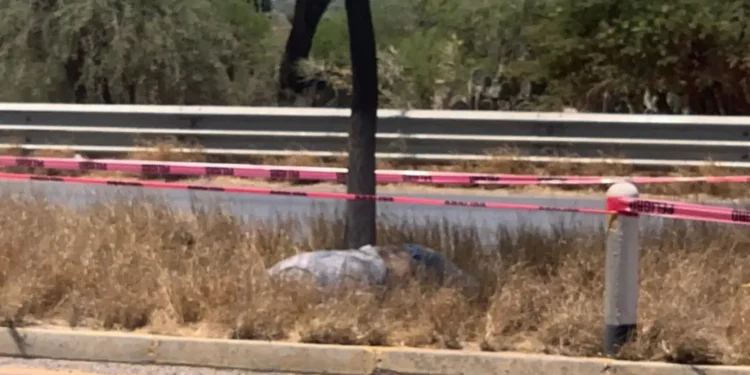 Hallan cuerpo en camellón de carretera a Rioverde
