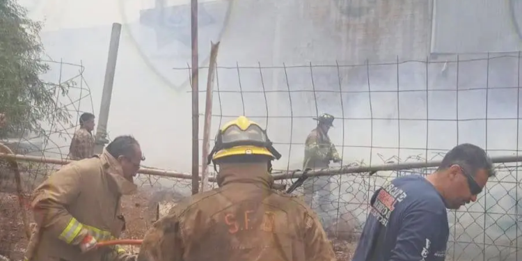 Atienden autoridades dos incendios de pastizal en predios de San Luis Potosí