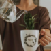 ¿Tu planta no absorbe el agua? Este truco viral puede salvarla antes de que la tires