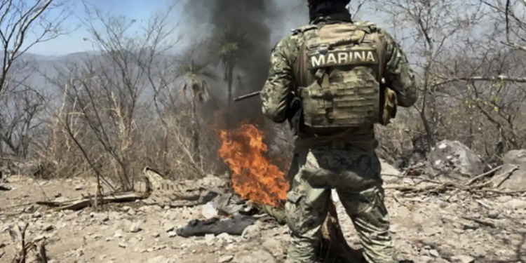 Ejército desmantela narcolaboratorios en Culiacán: golpe de 220 mdp al crimen organizado