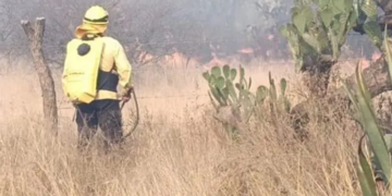 Incendio arrasa pastizales en Ojo Pinto; cuerpos de auxilio combaten las llamas