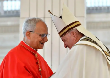 Las numerosas coincidencias entre el papa León XIV y su predecesor Francisco