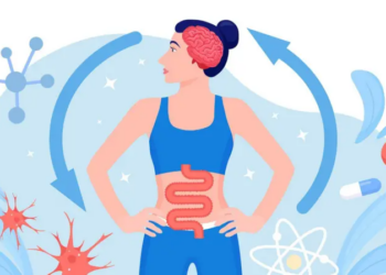 Por qué la conexión entre el intestino y el cerebro es tan importante para nuestra salud (y cómo podemos mejorarla)