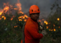 Por qué América Latina encabeza la lista mundial de pérdida de bosques tropicales y cuáles son los países más afectados