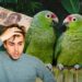Multa aplicable por tener un loro o perico en casa en México