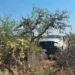 Hombre muere arrollado por su propia camioneta en comunidad La Melada