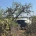Pierde la vida tras ser arrollado por su propia camioneta