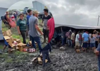 Cartones de chelas son rapiñados luego de volcadura de tráiler