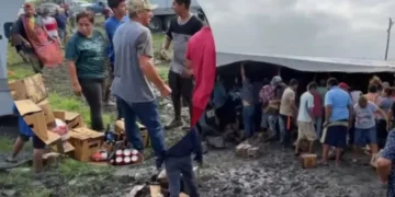 Cartones de chelas son rapiñados luego de volcadura de tráiler