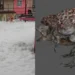 De tragedia a tendencia: los memes que dejó la espuma tóxica en Naucalpan