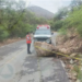 Cae enorme piedra en camino Bocas-Ahualulco