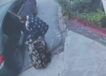 Una pareja se llevó incluso el televisor de un motel ubicado en el Periférico