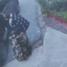 Una pareja se llevó incluso el televisor de un motel ubicado en el Periférico