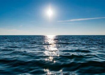 Océanos ‘bombean’ al orbe 75% del oxígeno; humanos aportamos basura, plástico y sobrepesca