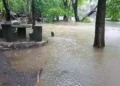 VIDEO | Lluvias provocan alerta en 12 municipios por aumento en niveles de ríos