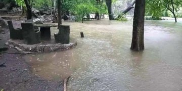VIDEO | Lluvias provocan alerta en 12 municipios por aumento en niveles de ríos