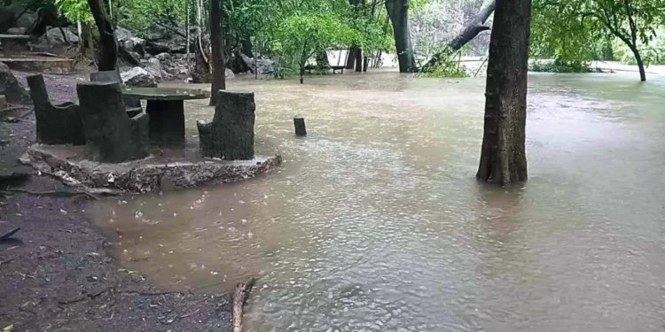 VIDEO | Lluvias provocan alerta en 12 municipios por aumento en niveles de ríos