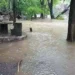 VIDEO | Lluvias provocan alerta en 12 municipios por aumento en niveles de ríos