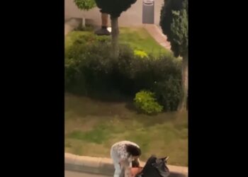 VIDEO | Investigan DIF Estatal y Fiscalía presunta agresión a menor en Plaza del Carmen