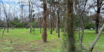 Gracias a las lluvias el Parque de Morales se recupera