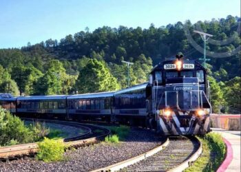 Tren arrolla a hombre que fallece en el lugar